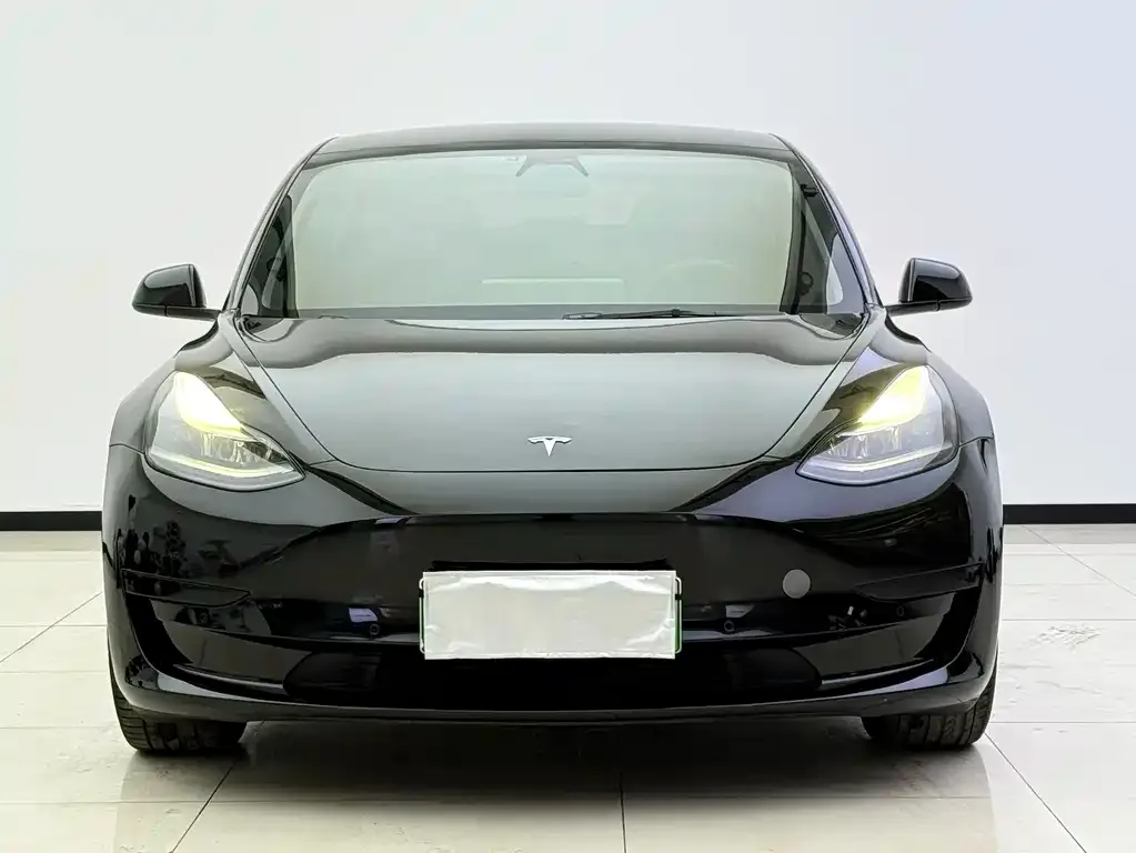 Tesla Model 3 2021 из CN, фото 2