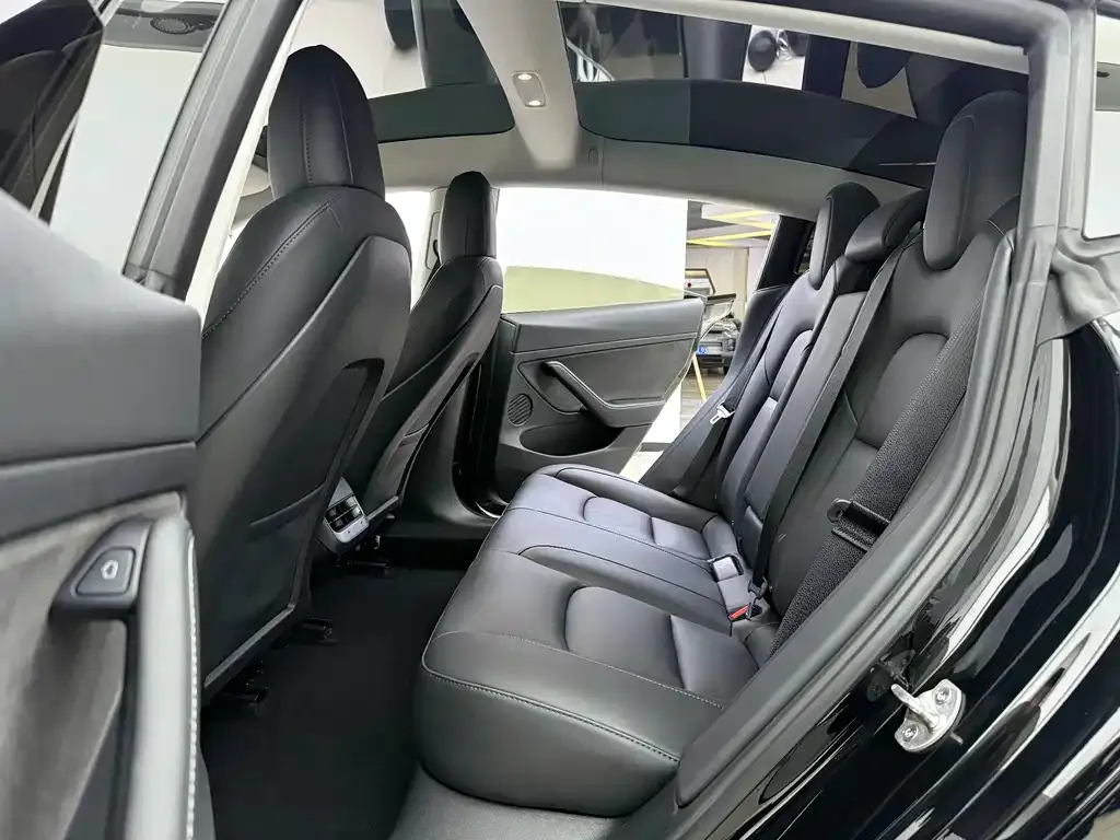 Tesla Model 3 2021 из CN, фото 9