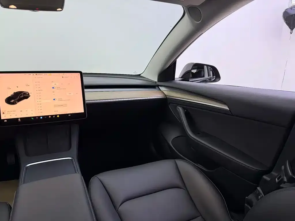 Tesla Model 3 2021 из CN, фото 3