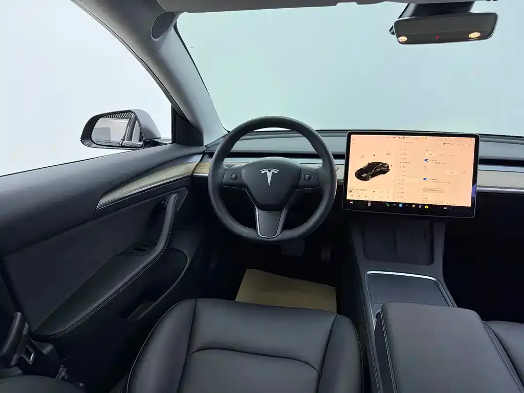 Tesla Model 3 2021 из CN, фото 8