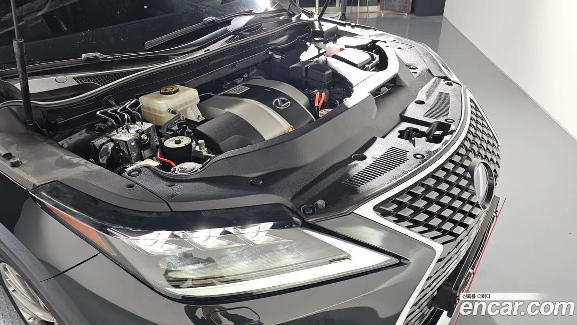 Lexus RX 2022 из KR, фото 4