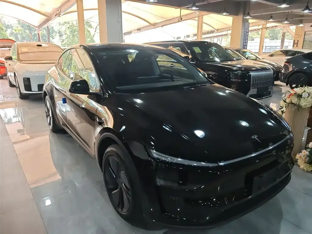 Tesla Model Y — фото 9