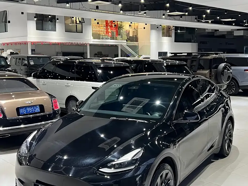 Tesla Model Y — фото 1