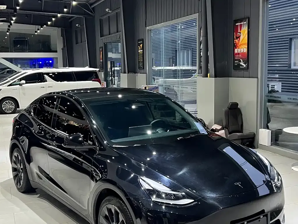 Tesla Model Y — фото 2