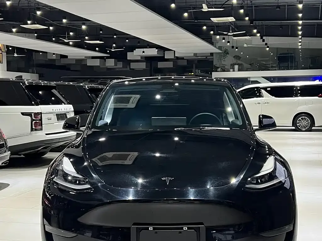 Tesla Model Y — фото 9