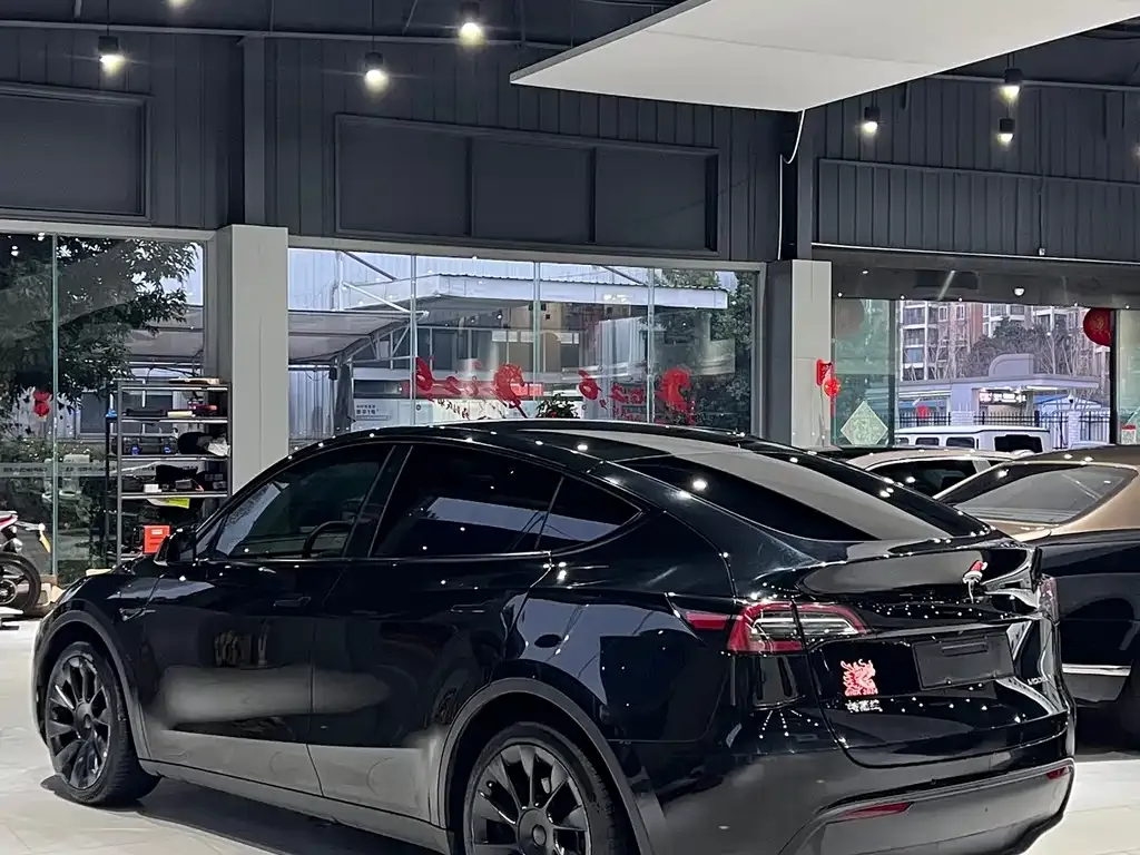 Tesla Model Y — фото 10