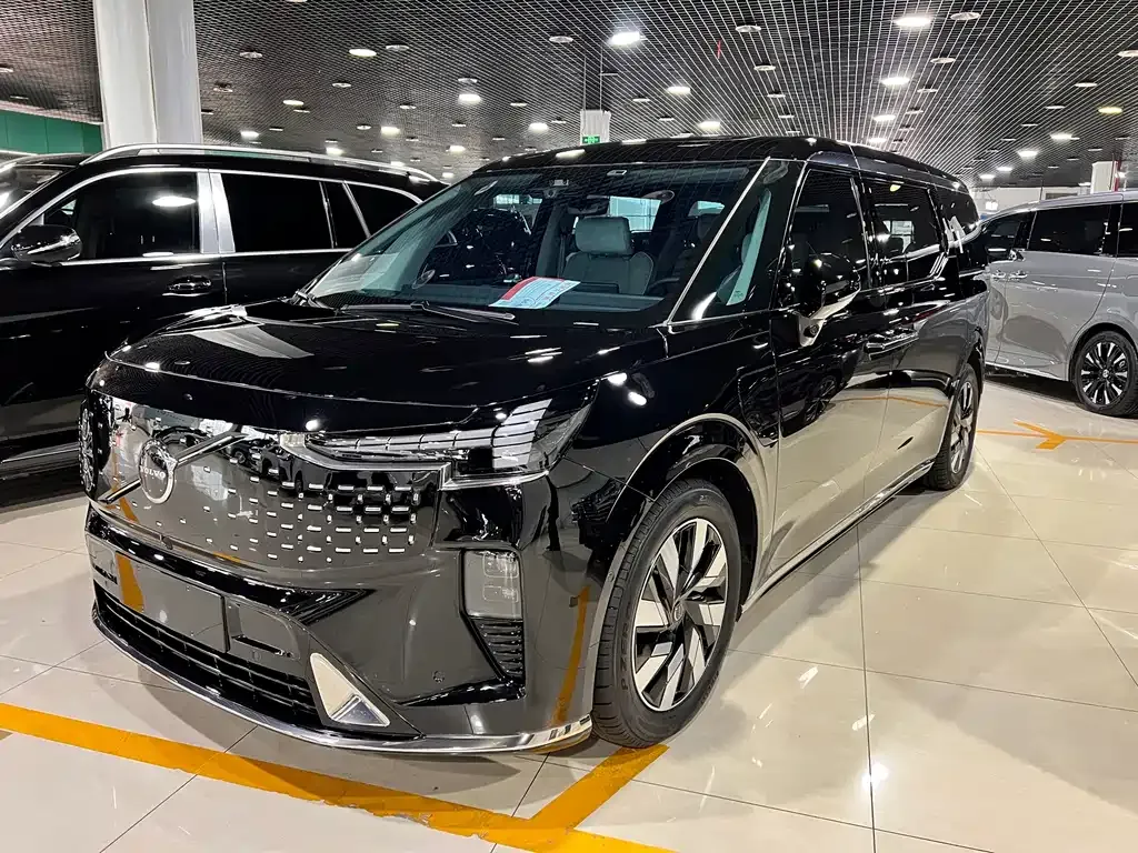 Volvo EM90 2025 из CN, фото 8