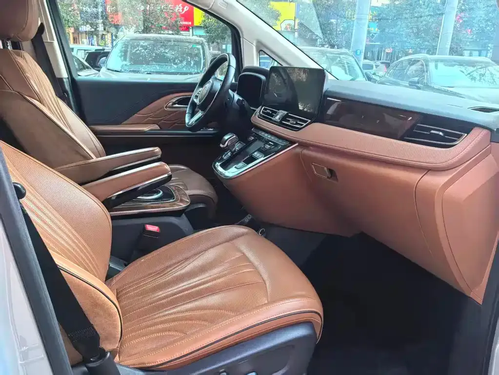 Hongqi HQ9 2023 из CN, фото 9