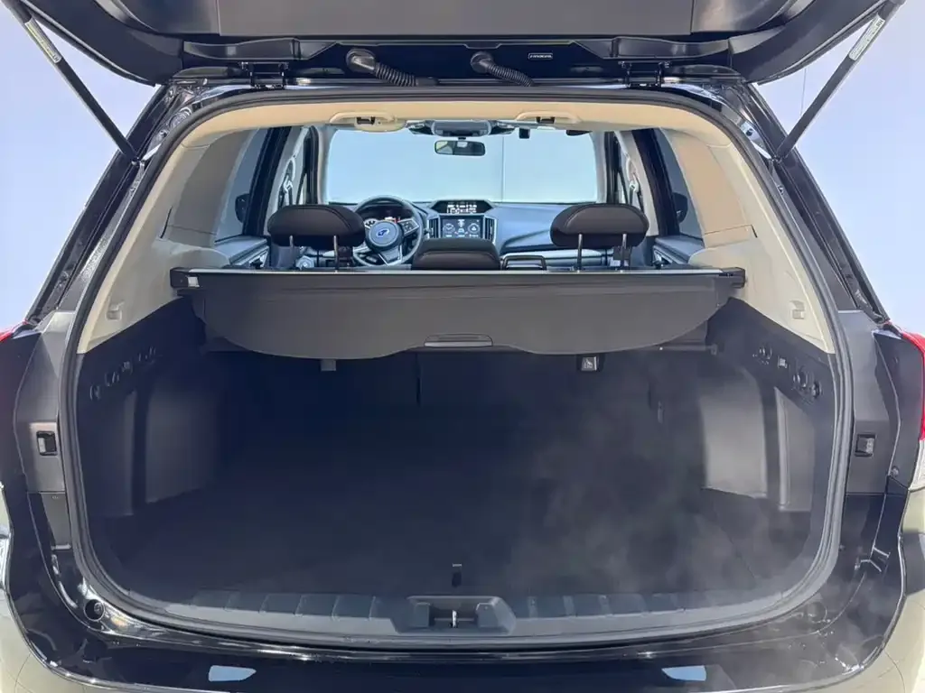Subaru Forester 2023 из CN, фото 6
