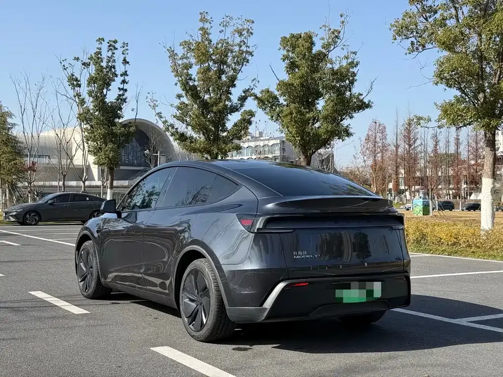 Tesla Model Y — фото 8