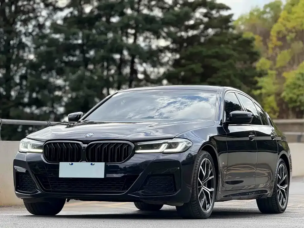 BMW 5 Series (Import) — фото 1