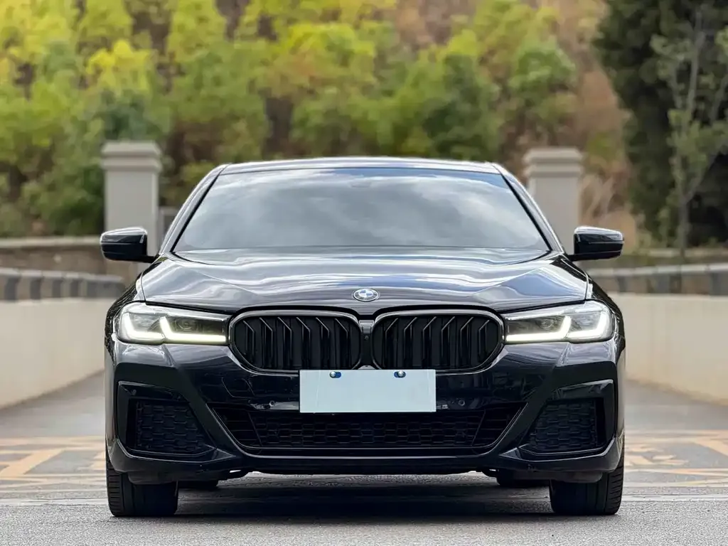 BMW 5 Series (Import) — фото 7