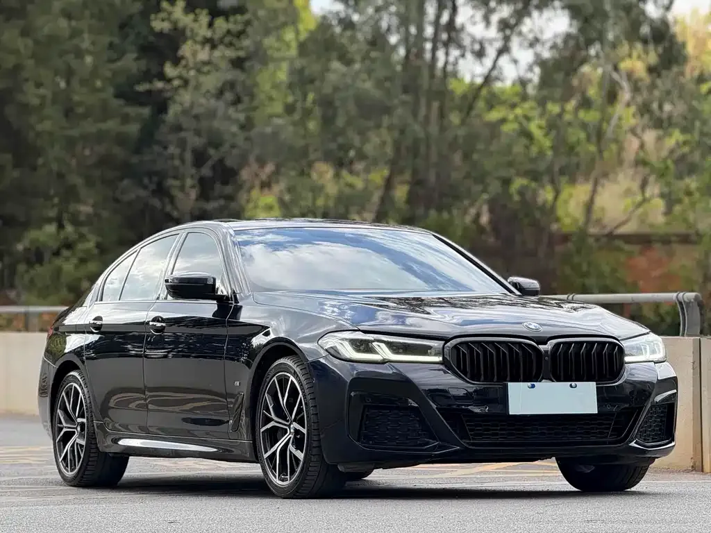 BMW 5 Series (Import) — фото 5