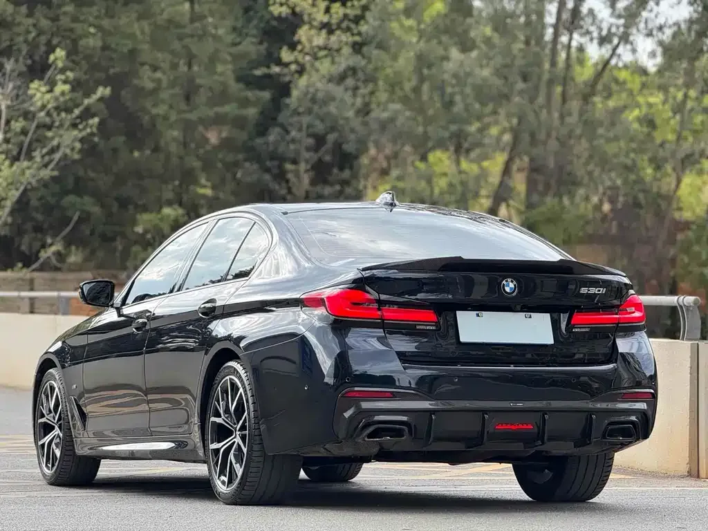 BMW 5 Series (Import) — фото 9