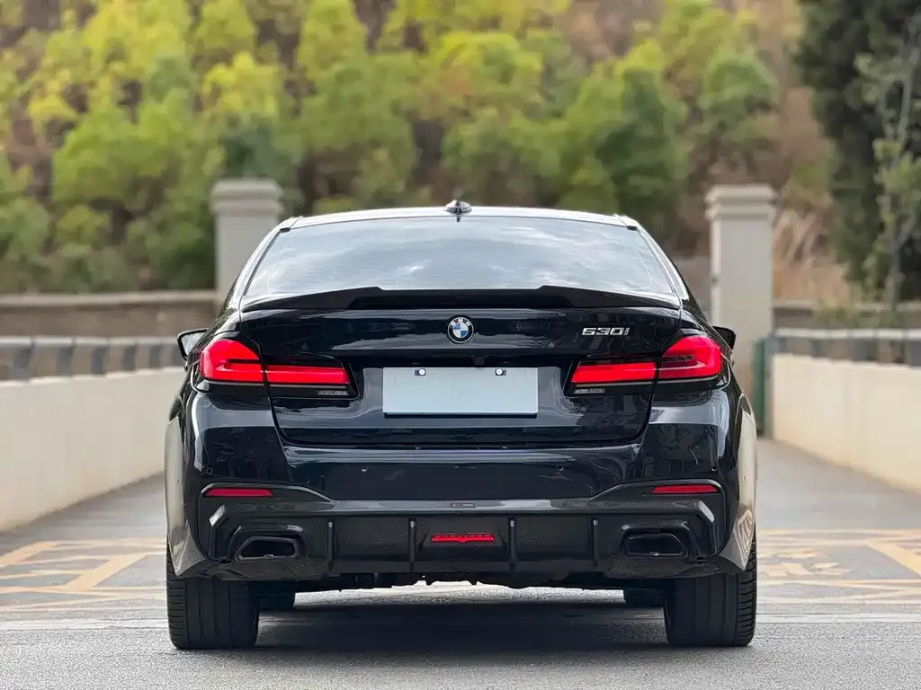 BMW 5 Series (Import) — фото 6