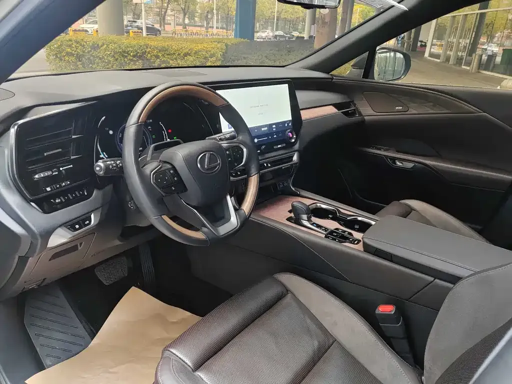 Lexus RX New Energy — фото 9