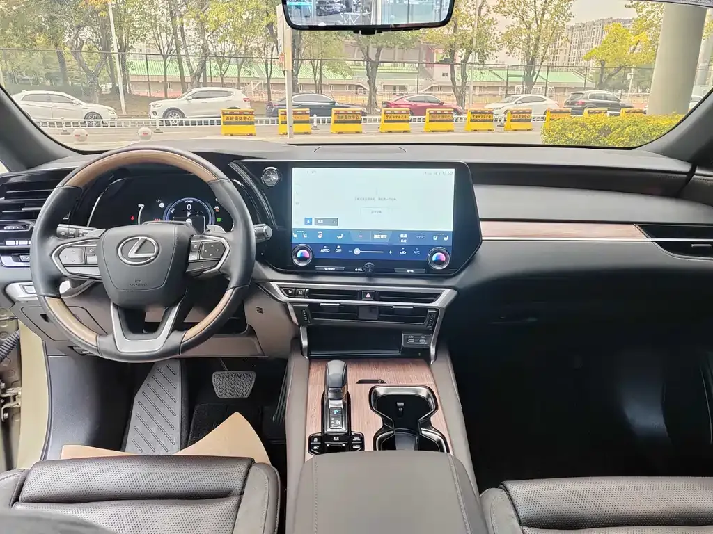 Lexus RX New Energy — фото 4