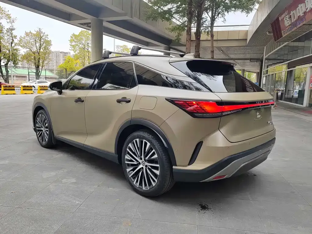 Lexus RX New Energy — фото 8