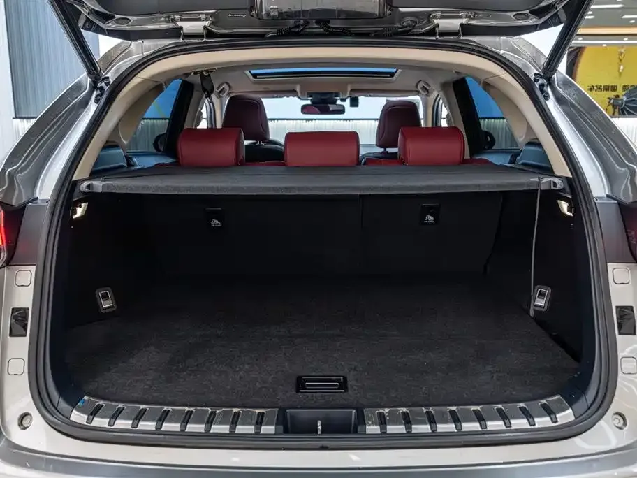 Lexus NX 2021 из CN, фото 9