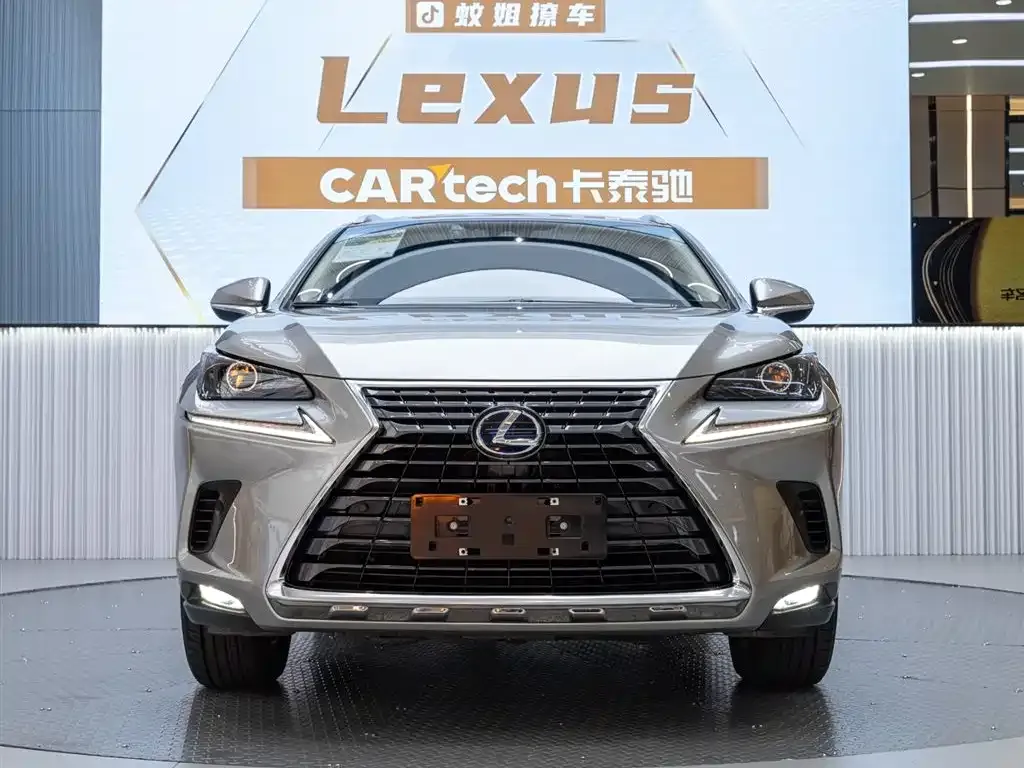 Lexus NX 2021 из CN, фото 7