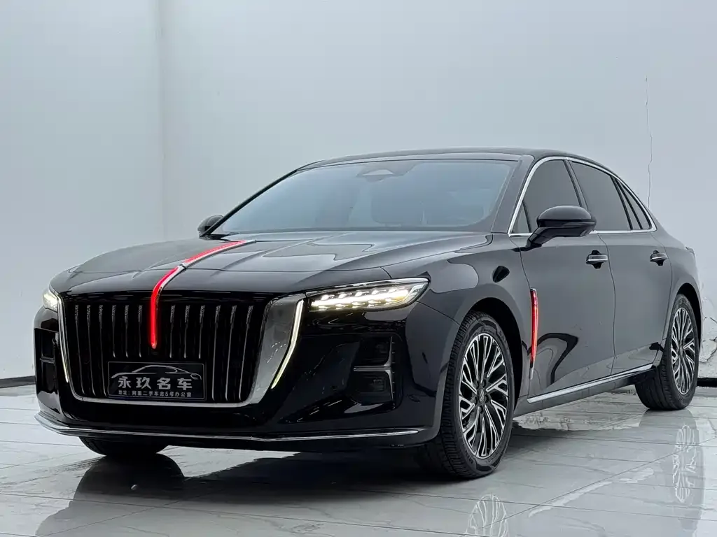 Hongqi H5 2024 из CN, фото 1