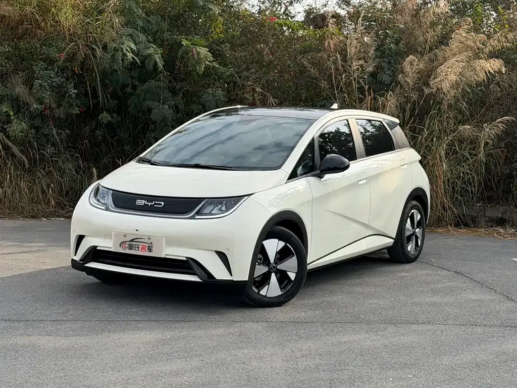 BYD Dolphin 2023 из CN, фото 1