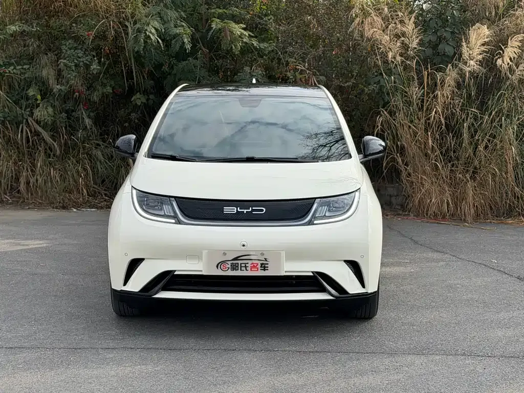BYD Dolphin 2023 из CN, фото 5