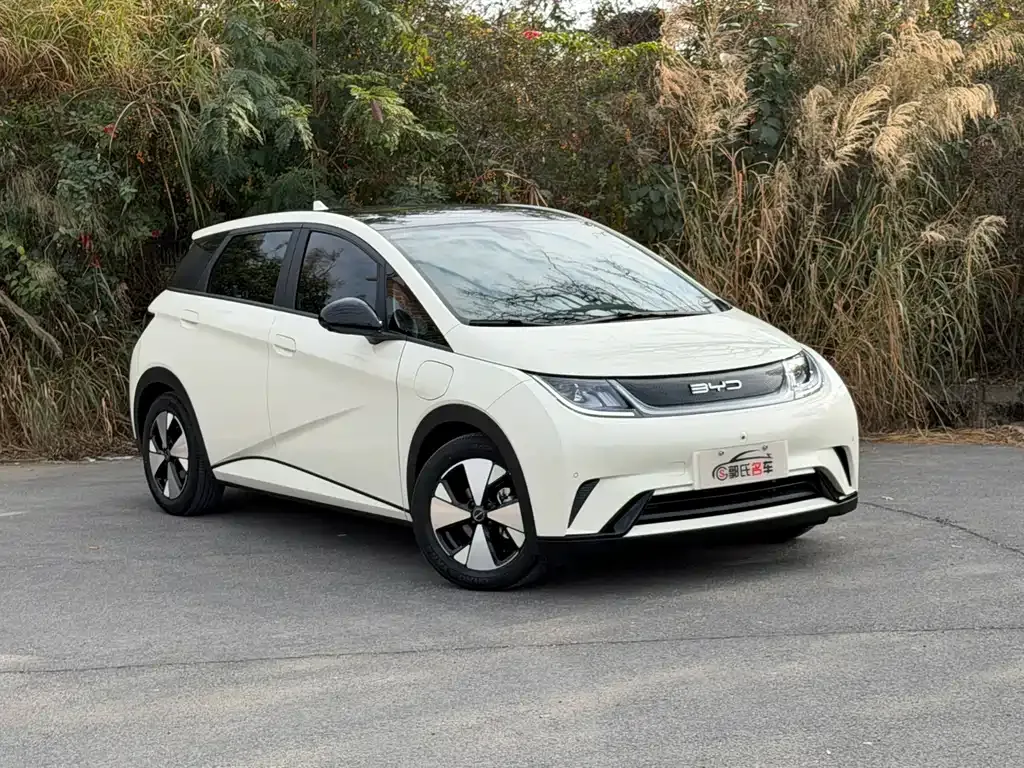 BYD Dolphin 2023 из CN, фото 10