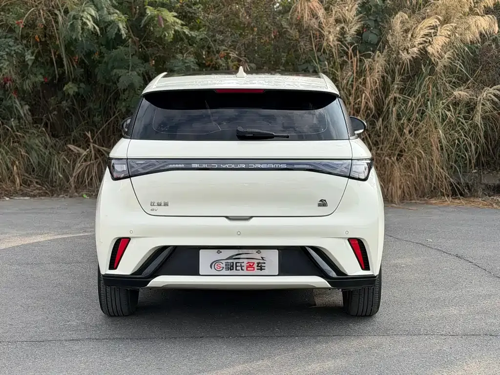 BYD Dolphin 2023 из CN, фото 9