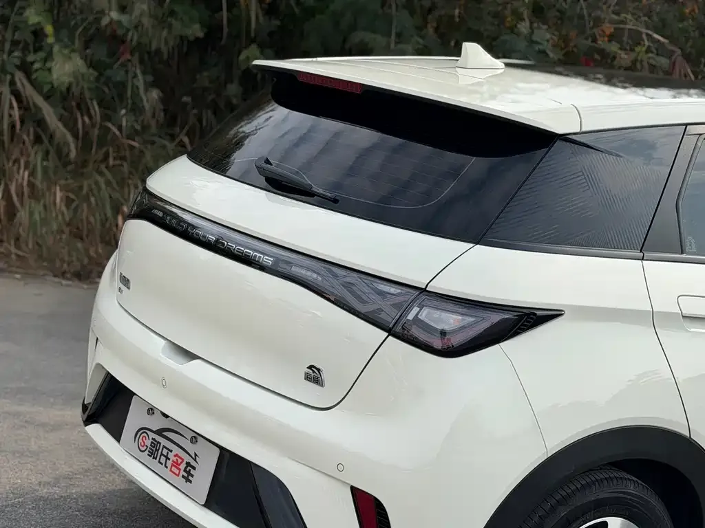 BYD Dolphin 2023 из CN, фото 3