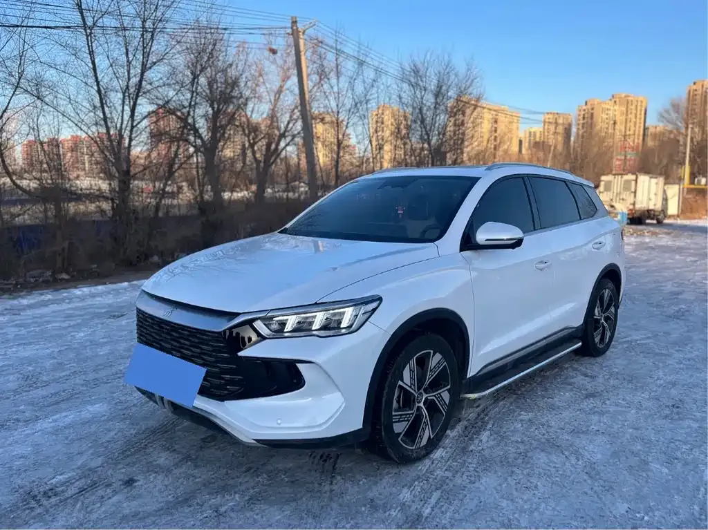 BYD Pro New Energy 2024 из CN, фото 1