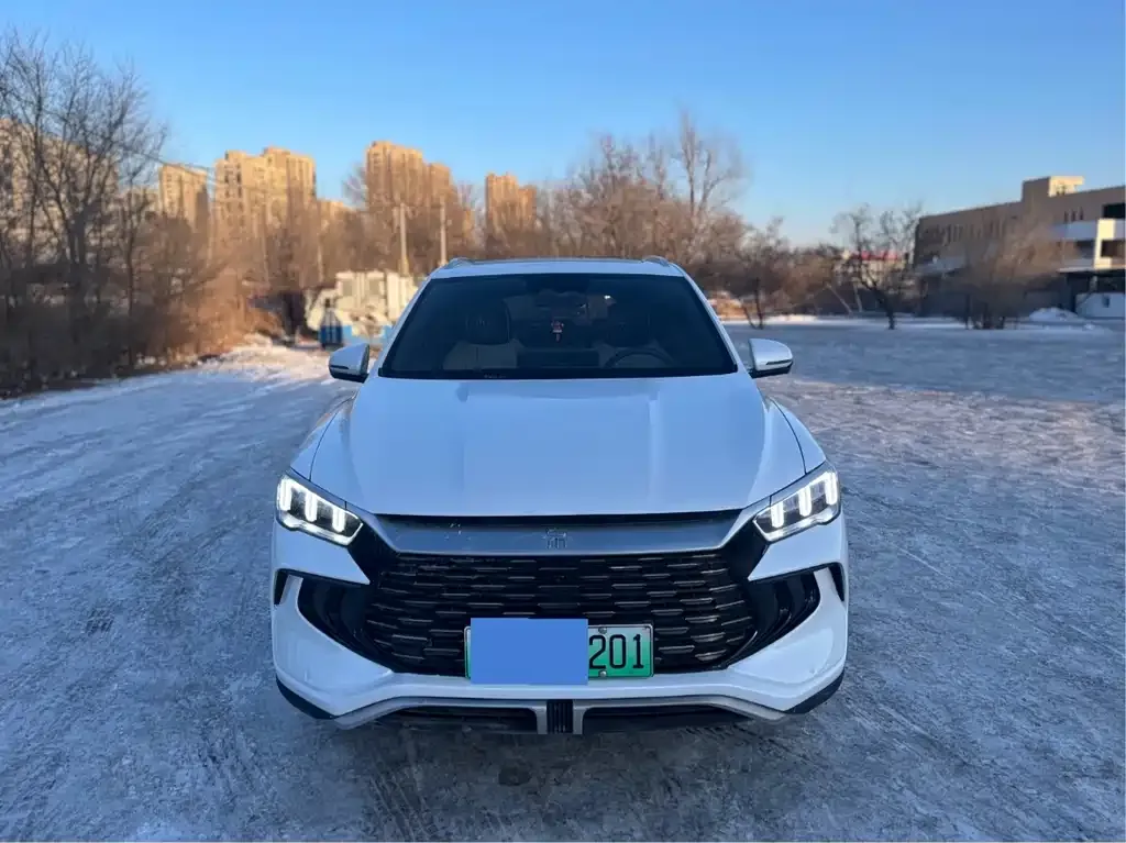 BYD Pro New Energy 2024 из CN, фото 5