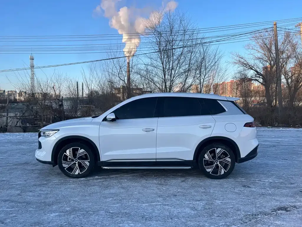 BYD Pro New Energy 2024 из CN, фото 6