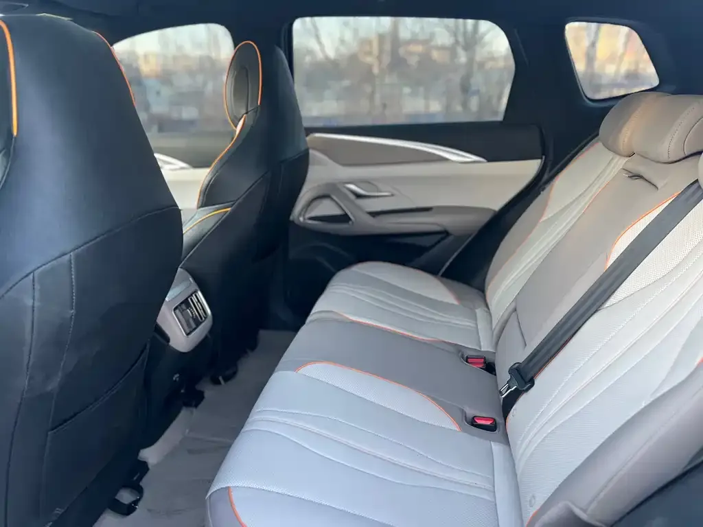 BYD Pro New Energy 2024 из CN, фото 3