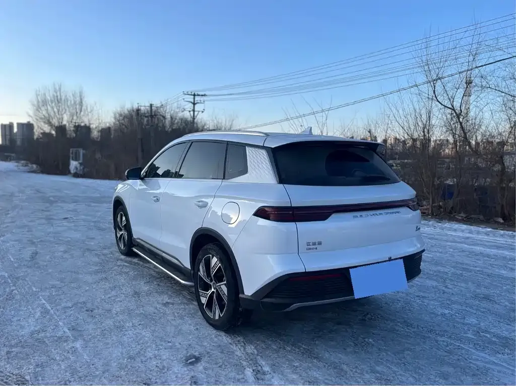 BYD Pro New Energy 2024 из CN, фото 8