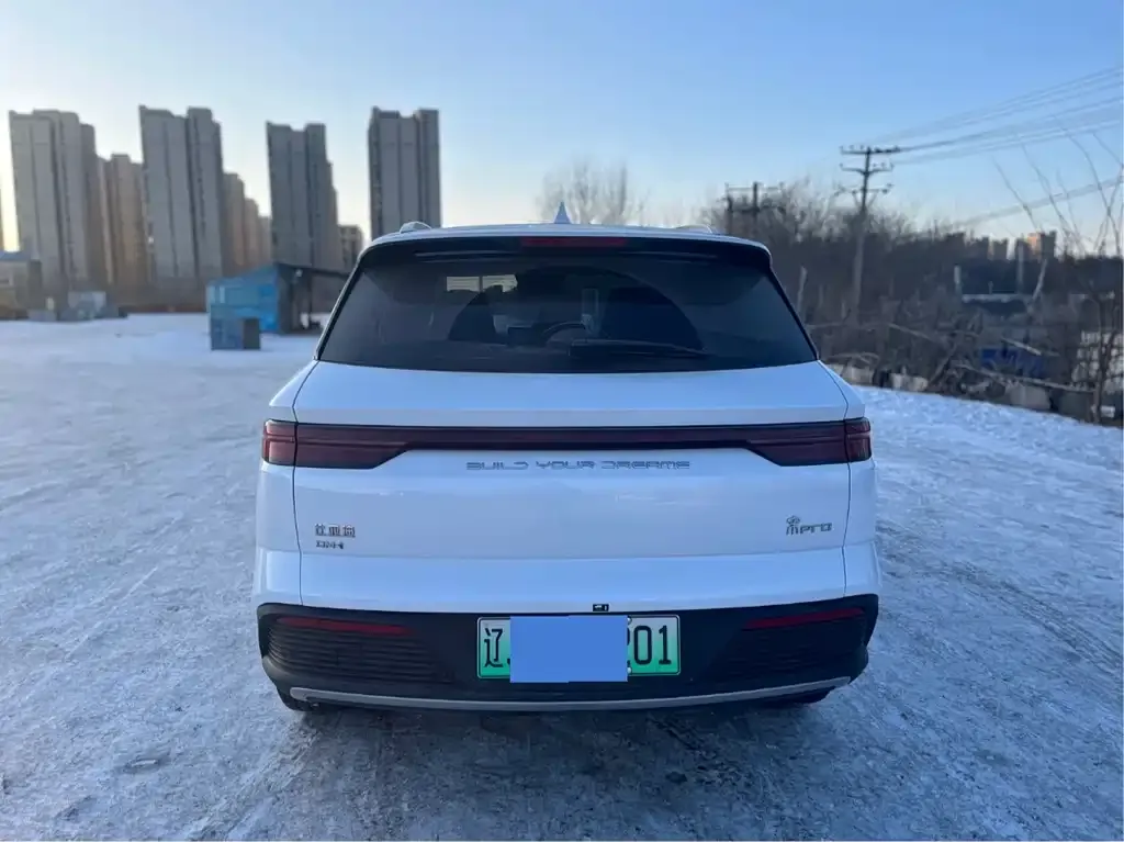 BYD Pro New Energy 2024 из CN, фото 4