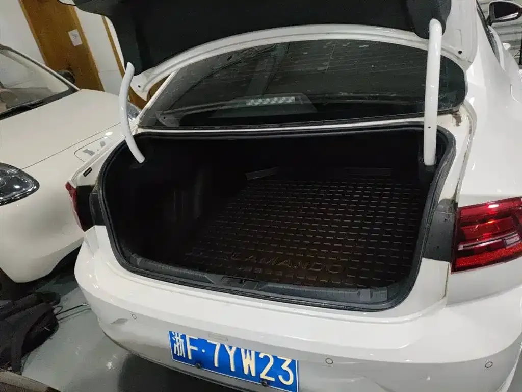 Volkswagen Lamando 2021 из CN, фото 2