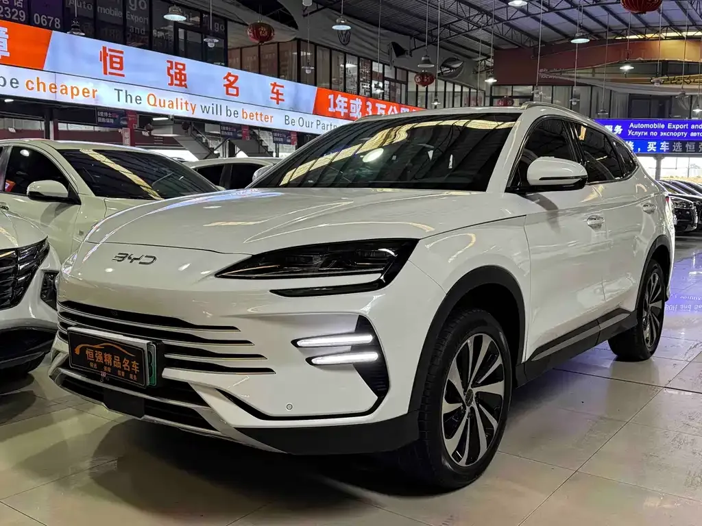 BYD PLUS New Energy 2024 из CN, фото 1