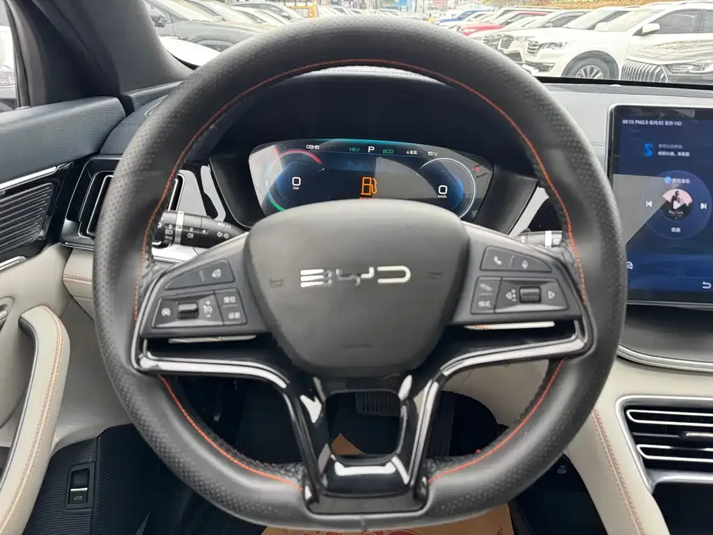 BYD PLUS New Energy 2024 из CN, фото 10