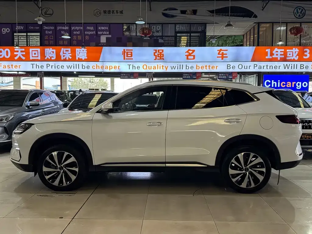 BYD PLUS New Energy 2024 из CN, фото 4