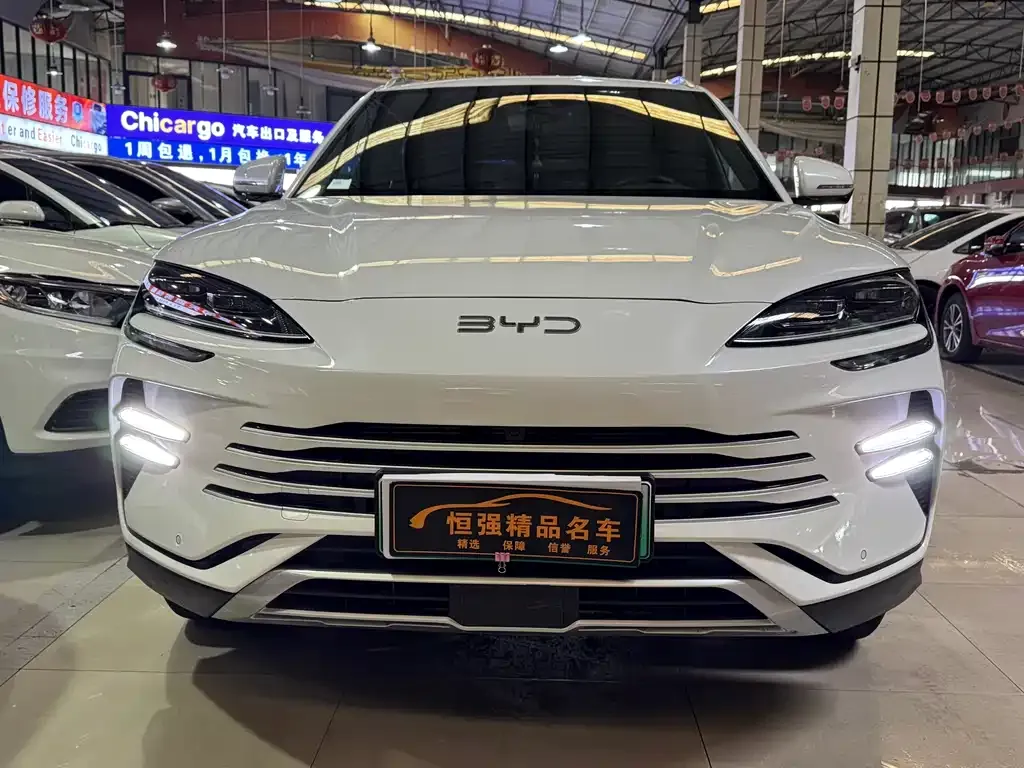 BYD PLUS New Energy 2024 из CN, фото 8