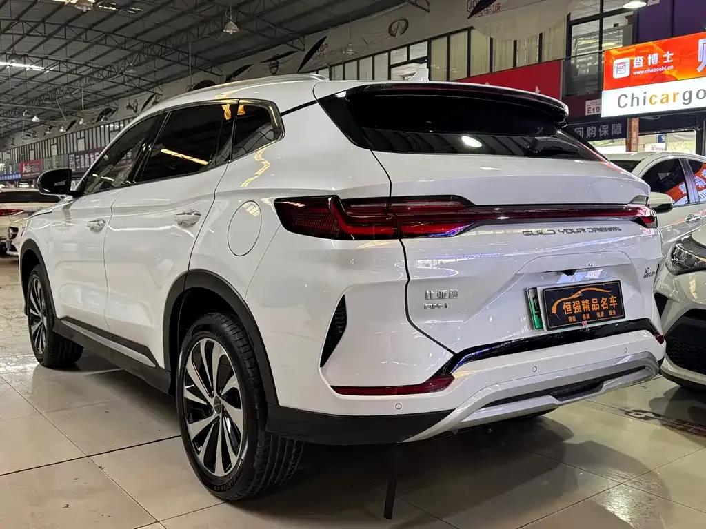 BYD PLUS New Energy 2024 из CN, фото 3