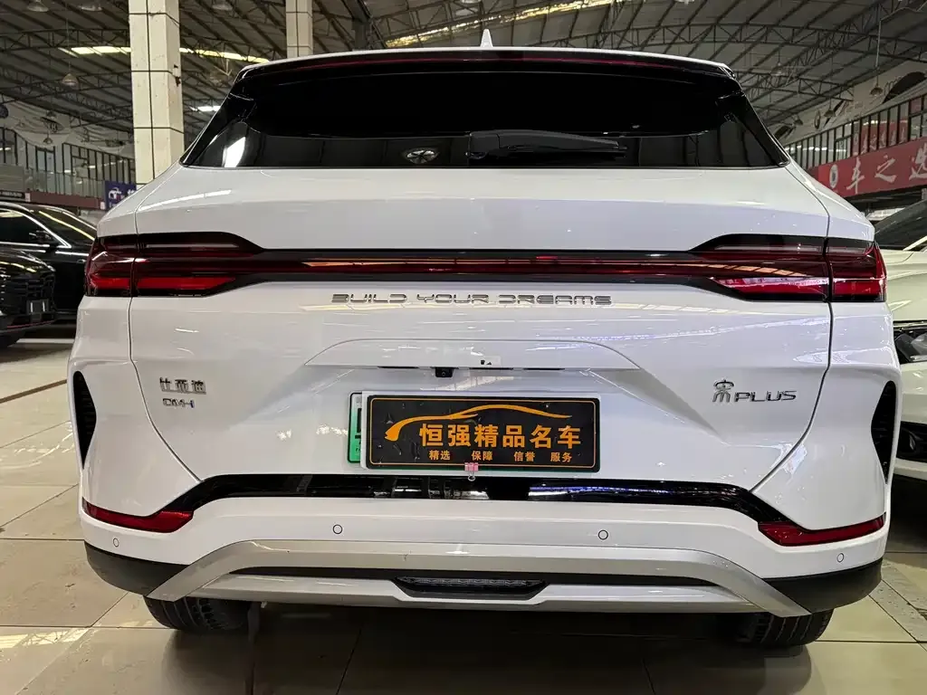 BYD PLUS New Energy 2024 из CN, фото 6