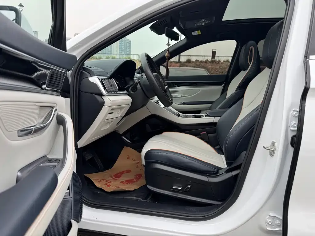BYD PLUS New Energy 2024 из CN, фото 9