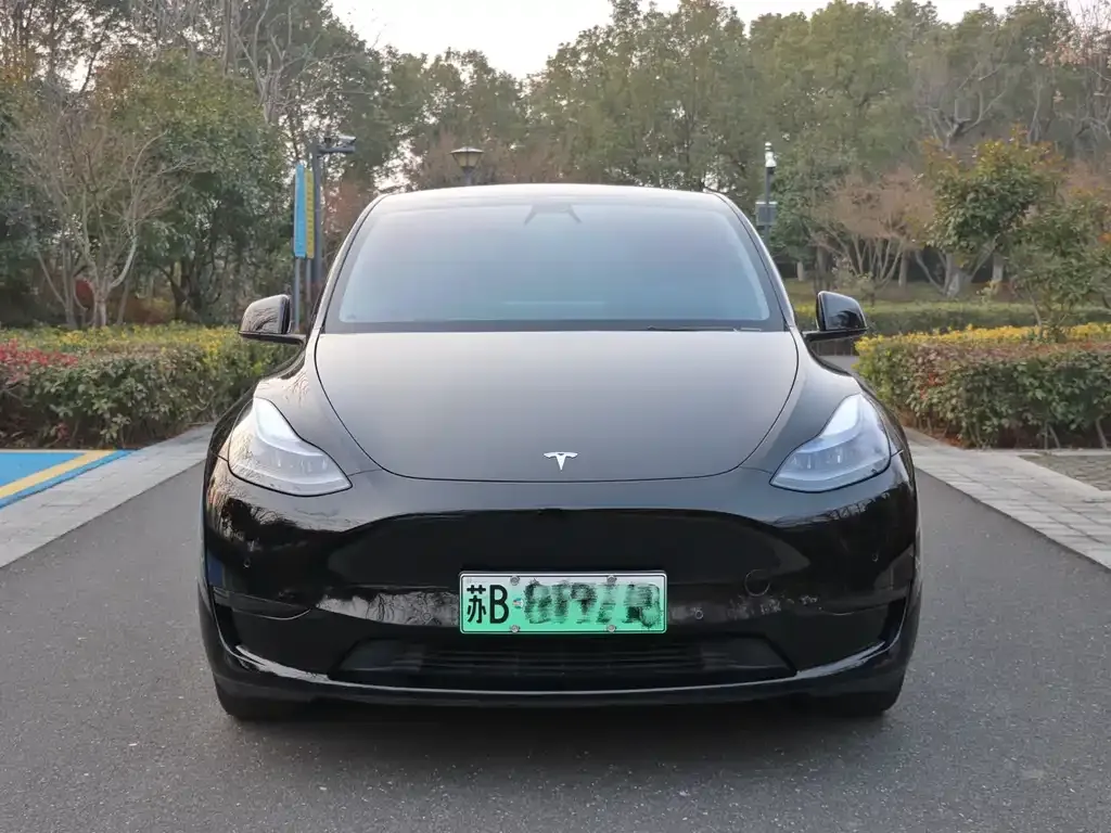 Tesla Model Y — фото 1