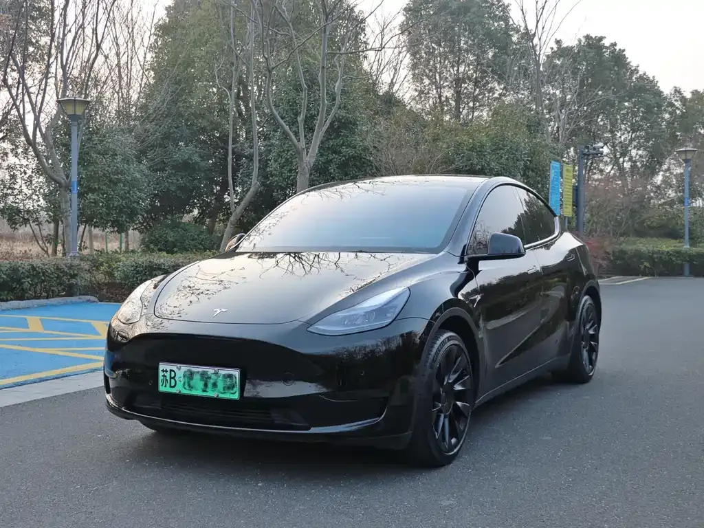Tesla Model Y — фото 5