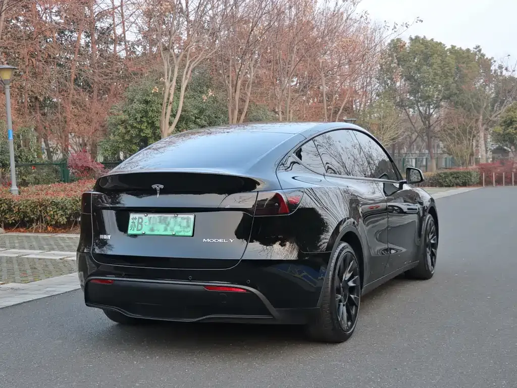 Tesla Model Y — фото 8