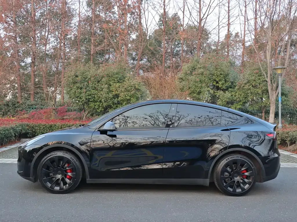 Tesla Model Y — фото 10