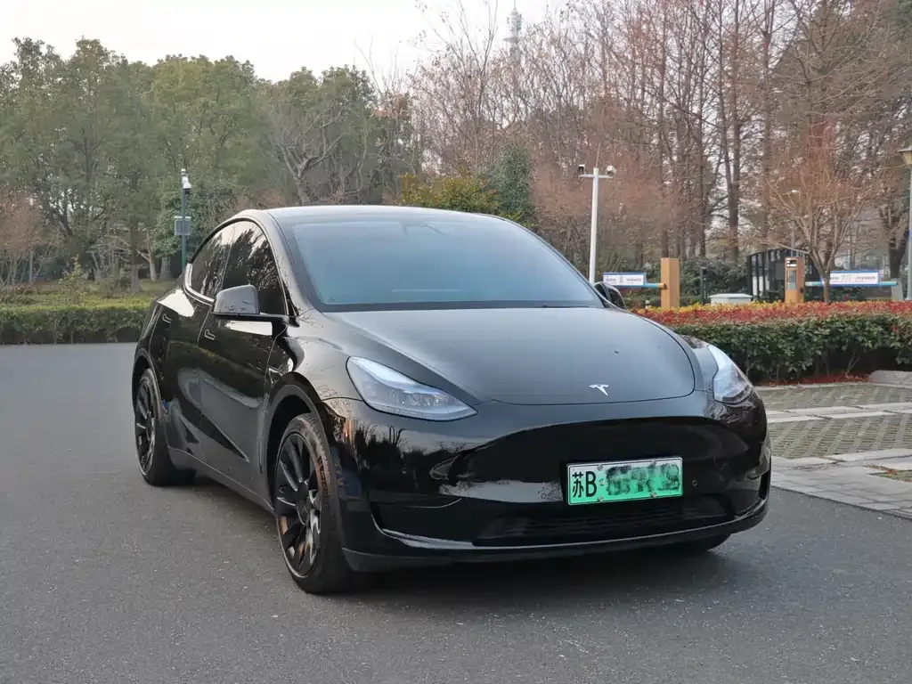 Tesla Model Y — фото 3