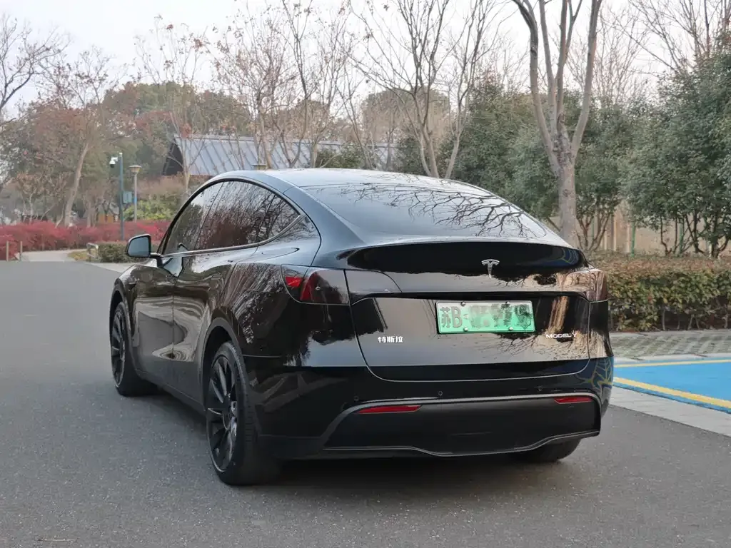 Tesla Model Y — фото 6